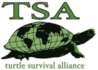 Turtle survival Alliance - India logo